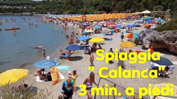 Cialoma Full Green Marina di Camerota Eksteriør bilde