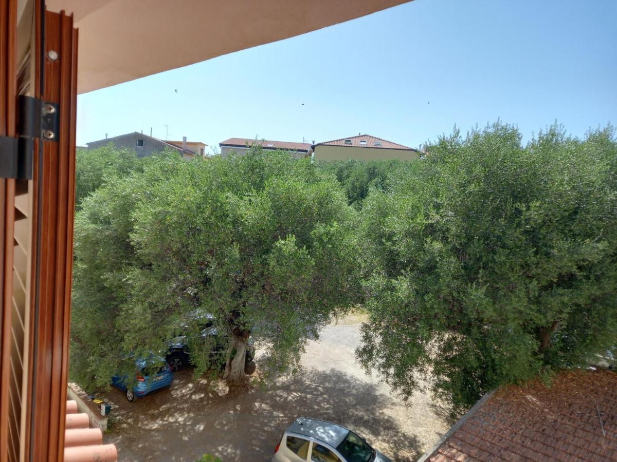 Cialoma Full Green Marina di Camerota Eksteriør bilde