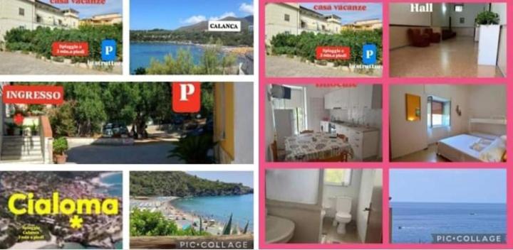 Cialoma Full Green Marina di Camerota Eksteriør bilde