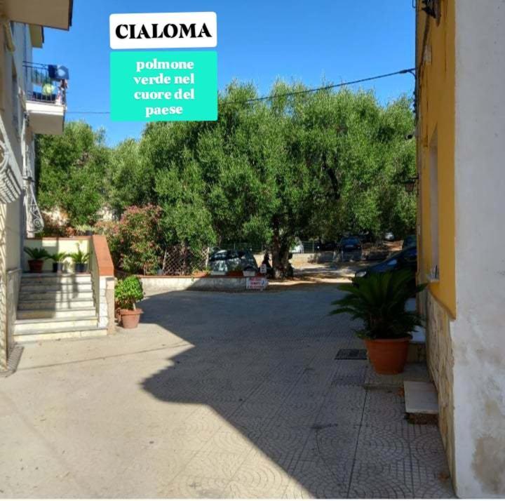 Cialoma Full Green Marina di Camerota Rom bilde