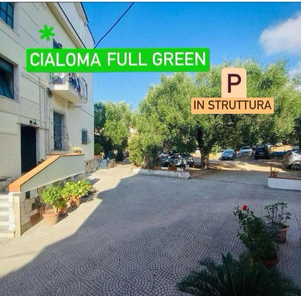 Cialoma Full Green Marina di Camerota Eksteriør bilde