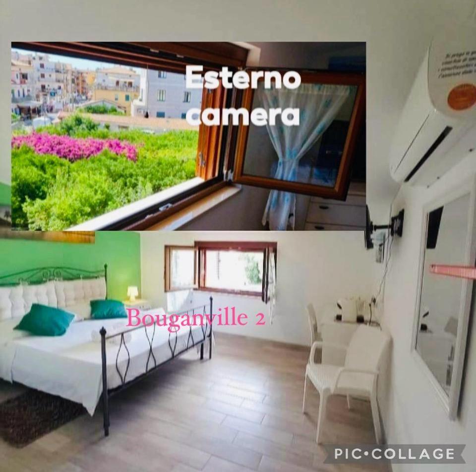 Cialoma Full Green Marina di Camerota Eksteriør bilde