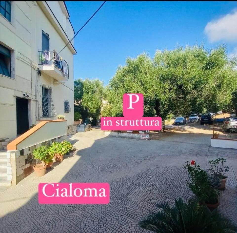 Cialoma Full Green Marina di Camerota Eksteriør bilde